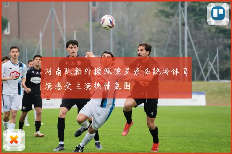 河南队新外援佩德罗亲临航海体育场感受主场热情氛围